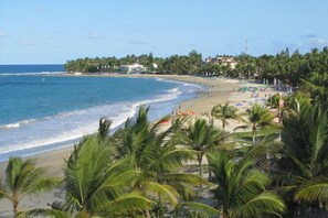 A beach with palm trees, a sandy shore, and buildings in the background.