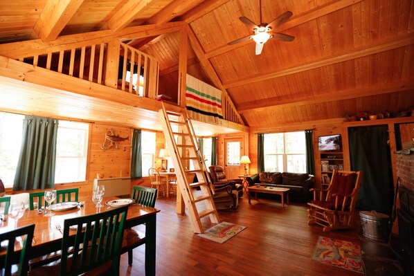 Smart TV, fireplace, DVD player, books