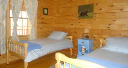 Charming hirsitalo, Tilava, mutta viihtyisä, kätkeytyneenä White Mountain alueella.