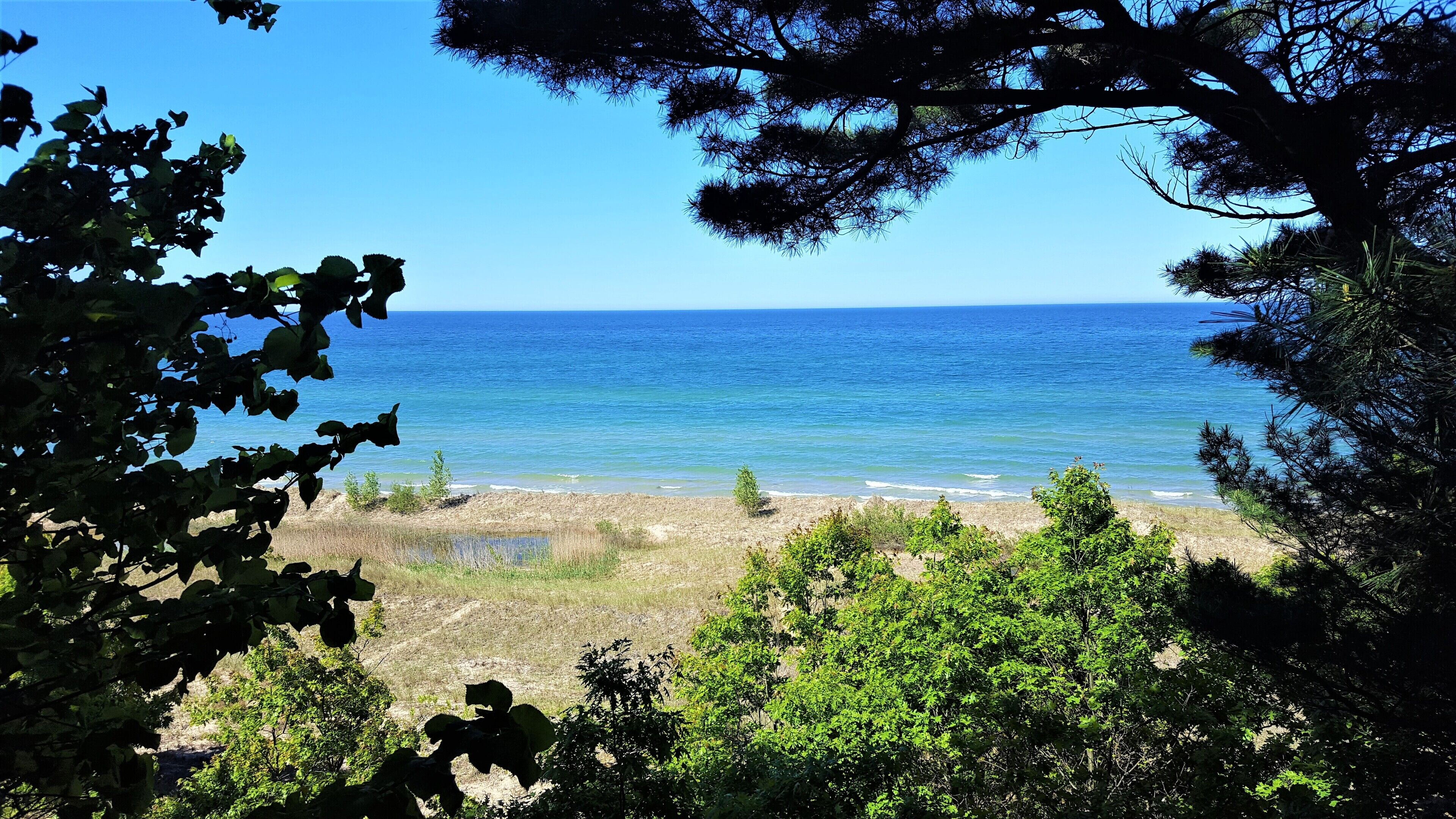 Unwind at a quaint beach cottage like Grandma used to have