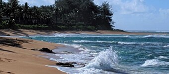 Minutes Walk to Hanalei Bay, beach, & town w/AC in bed rooms