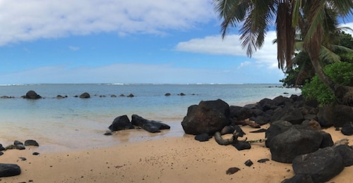 Minutes Walk to Hanalei Bay, beach, & town w/AC in bed rooms
