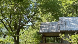 A rustic cabin with a wooden deck and a metal roof, surrounded by lush greenery and trees.