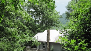 A rustic cabin surrounded by dense greenery, with a gravel path leading to a wooden staircase.