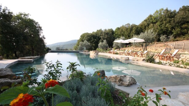 Un espace piscine agrémenté de chaises longues et de parasols, entouré de végétation et offrant une vue sur les collines.