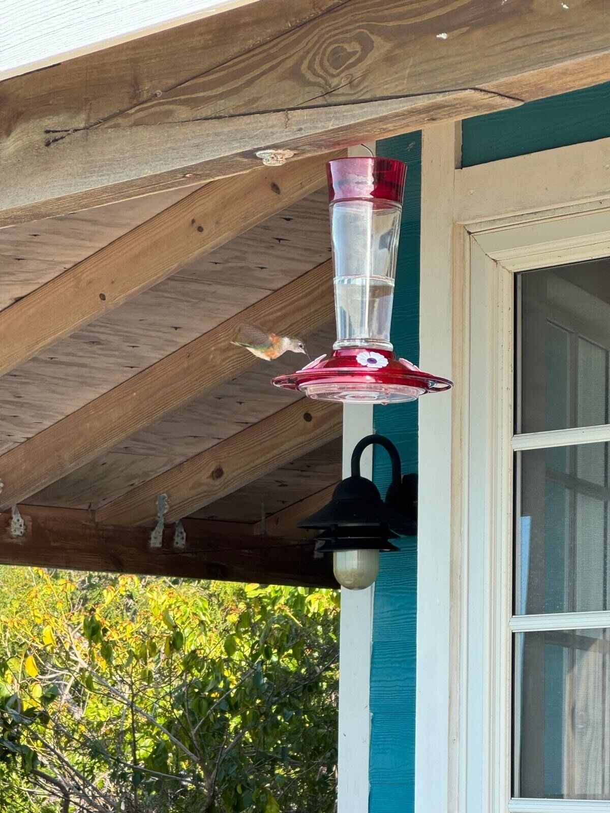 A wooden ceiling structure with a bird feeder hanging from it.