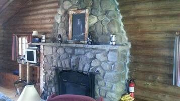 Una televisión, una chimenea, un reproductor de DVD, libros