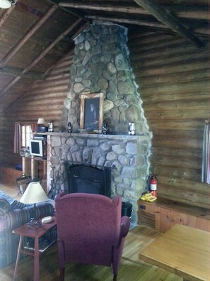Smart TV, fireplace, DVD player, books