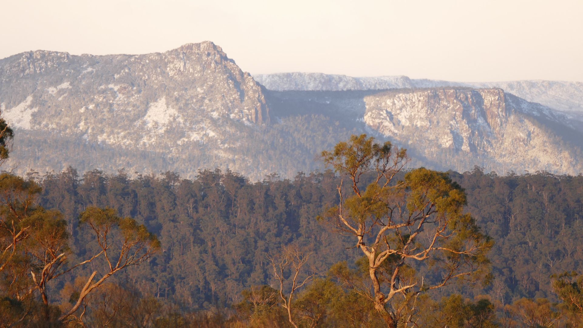 Silverbirch Cottage. — image 29