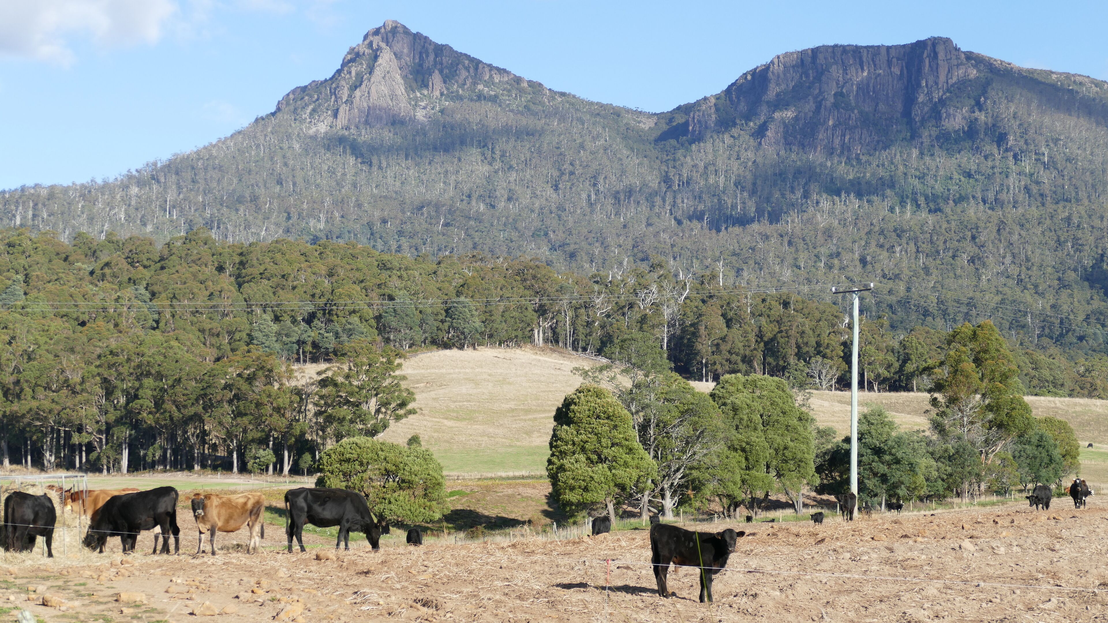 Silverbirch Cottage. — image 28