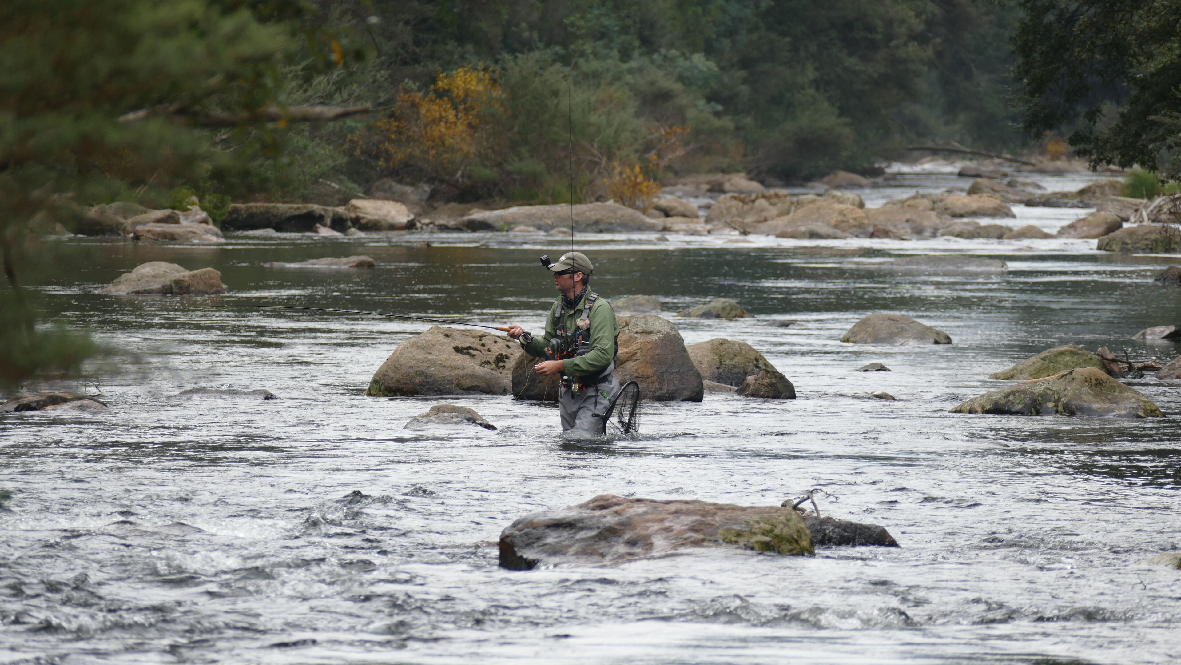 Silverbirch Cottage. — image 9