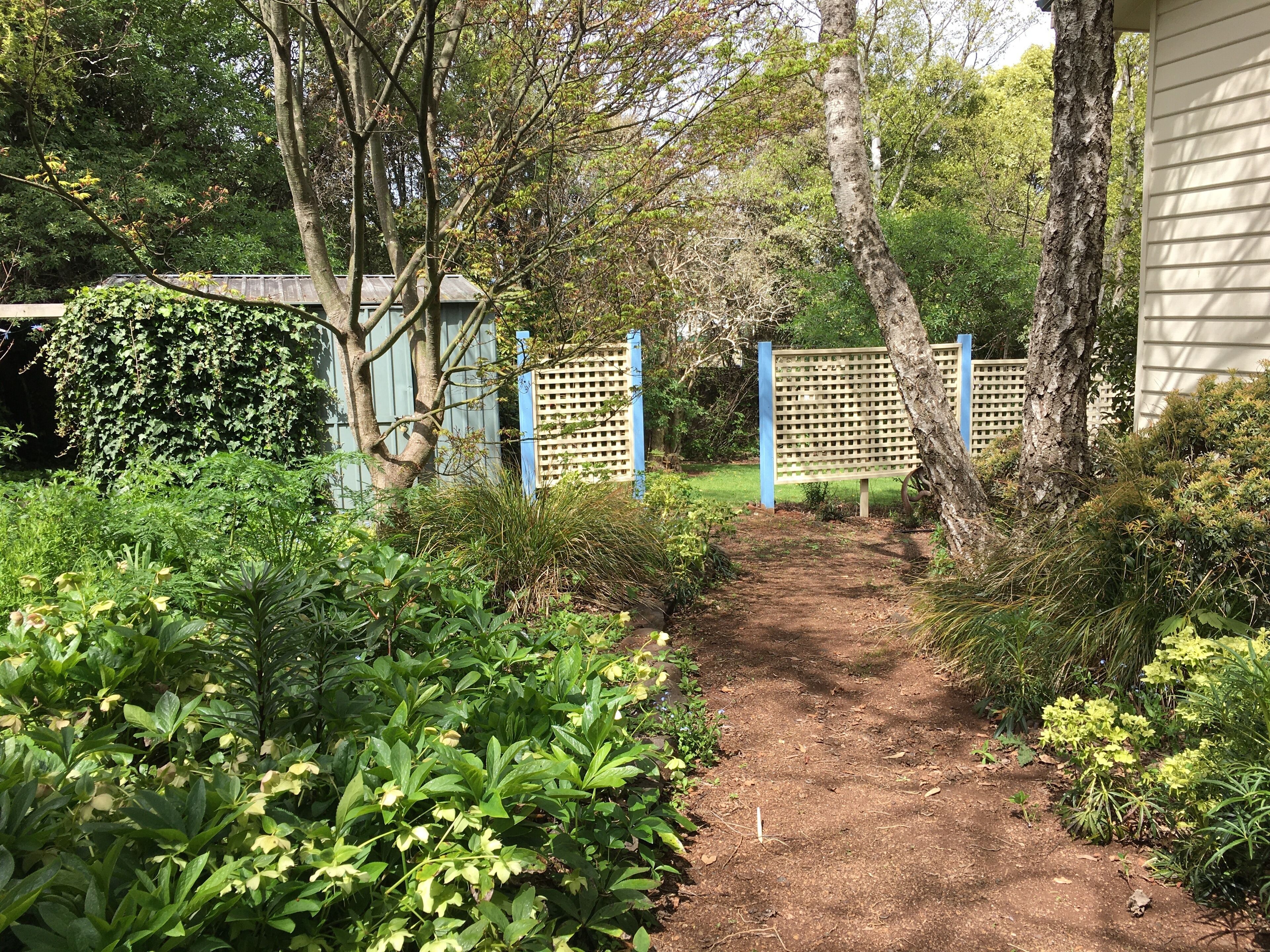 Silverbirch Cottage. — image 23