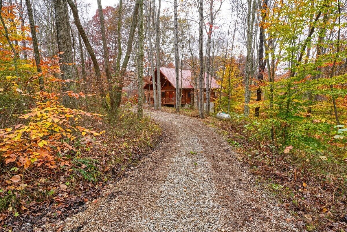 A cabin surrounded by a forest with a gravel path leading to it.