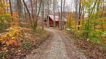 A cabin surrounded by a forest with a gravel path leading to it.
