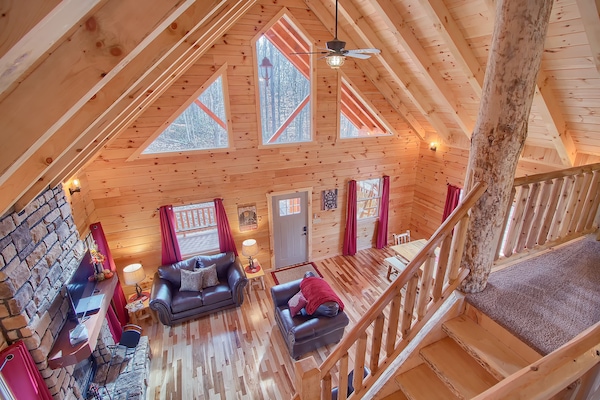 TV, fireplace, DVD player, video library