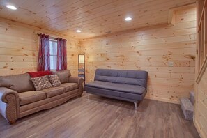 Télévision, cheminée, lecteur de DVD, vidéothèque