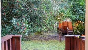 Terrain de l’hébergement