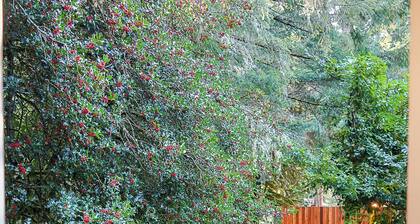 Emerald Room At Forest House (Pre-packed Breakfast Inc., 1mile from Mt Rainier)