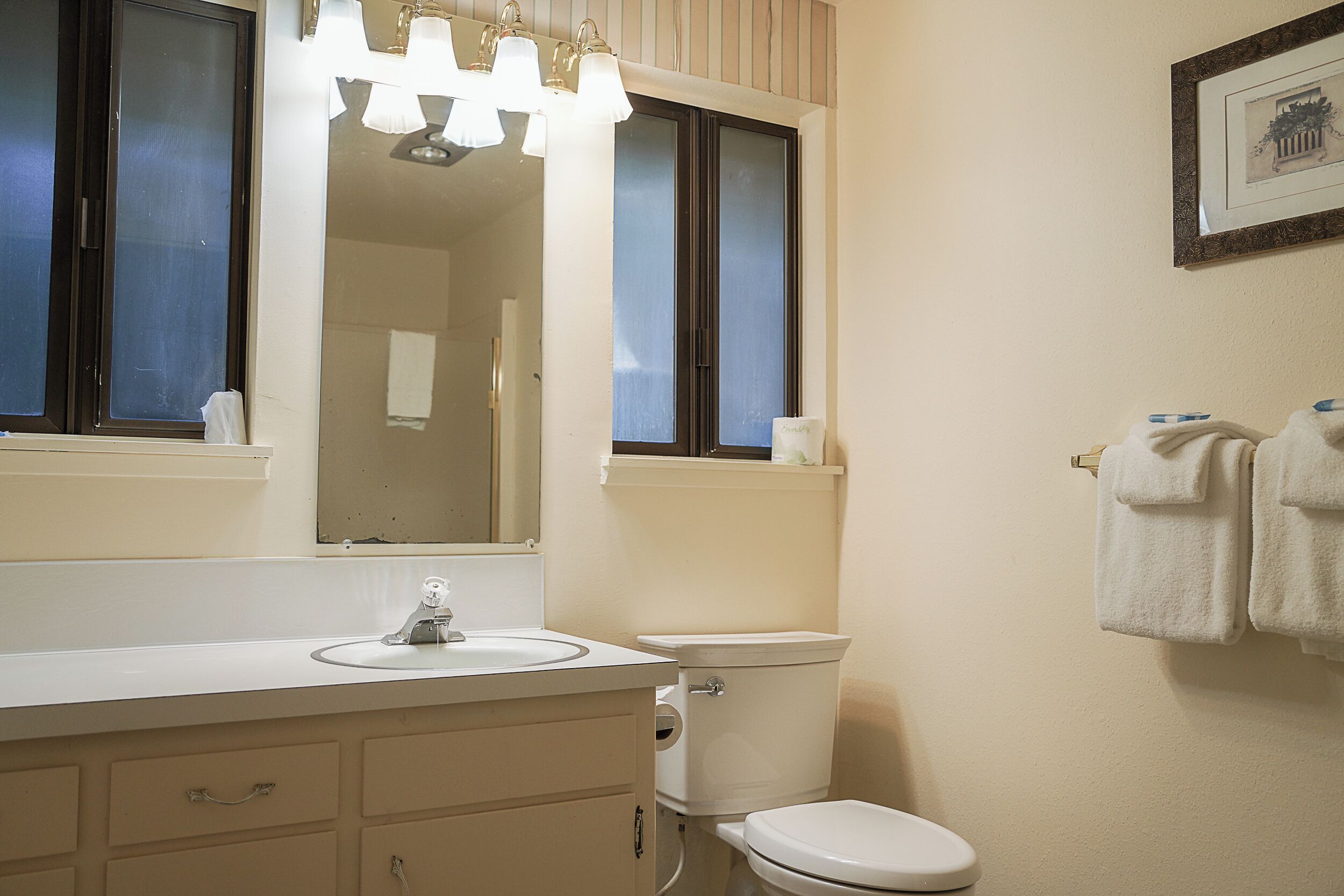 Sèche-cheveux, serviettes fournies, shampoing, papier toilette