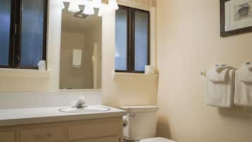 Hair dryer, towels, shampoo, toilet paper