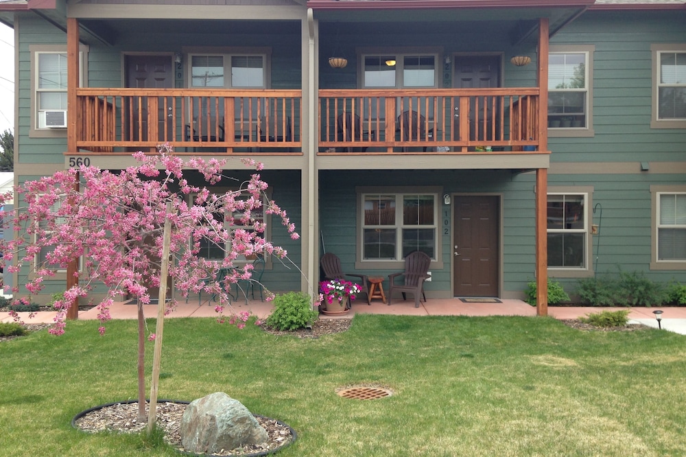 An Apartment Gem Located In The Heart Of Missoula