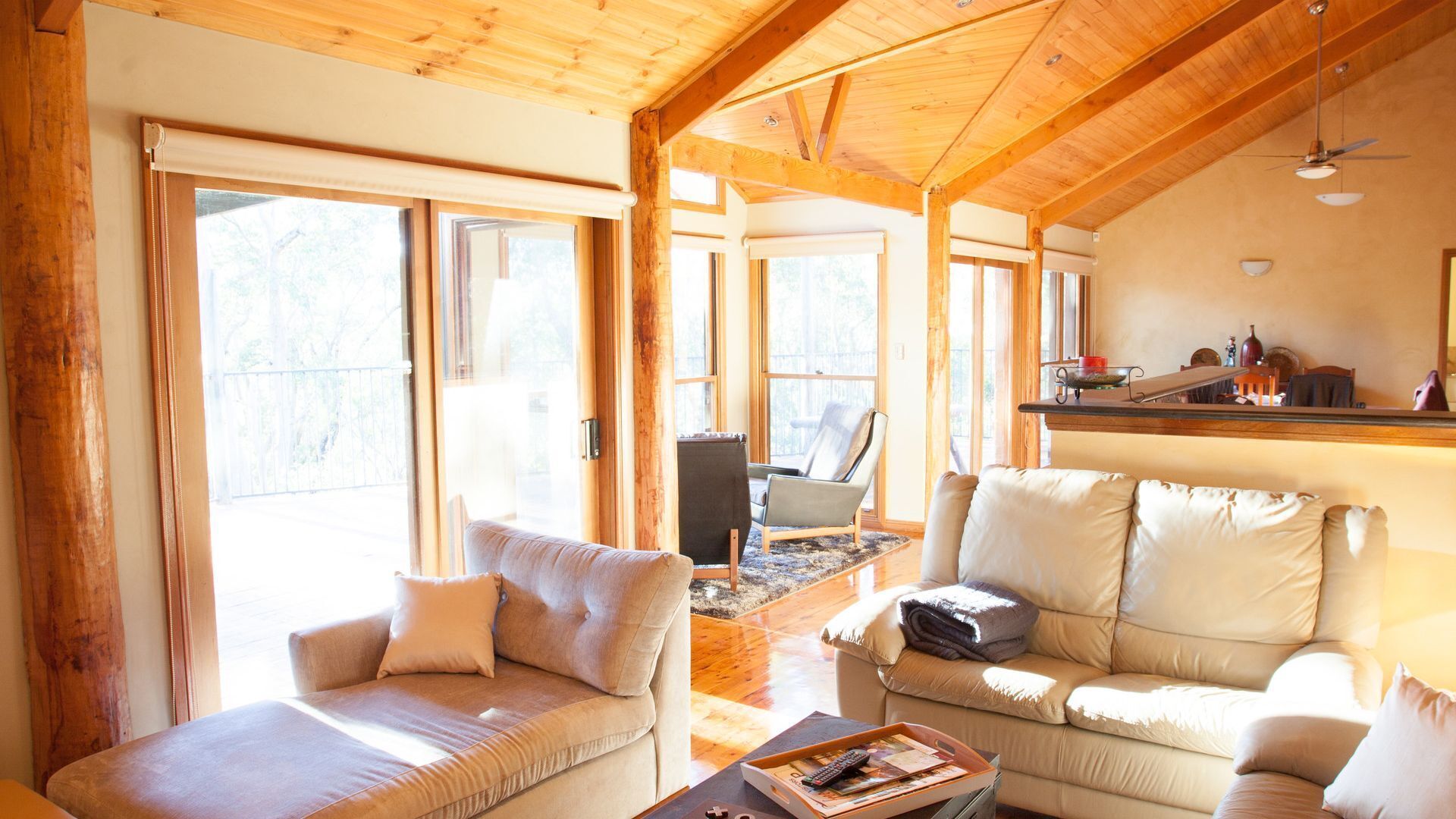 Bullaburra-treescape backs Blue Mountains Nat Park