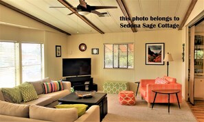 Smart TV, fireplace, DVD player, books