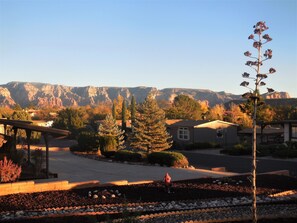 A residential area with houses, a paved driveway, and a mountain range in the background.
