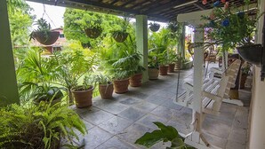 Un espacio de patio cubierto con plantas en macetas y un columpio.