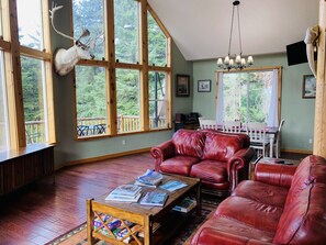 Smart TV, fireplace, DVD player, books