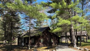 Un chalet rustique doté d’une véranda, entouré de grands pins.