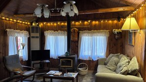Un salon chaleureux avec des murs en bois, un canapé, un fauteuil, une télévision, une cheminée et des guirlandes lumineuses.