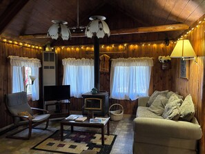 TV, fireplace, DVD player, books