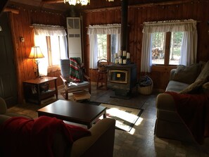 Een televisie, een open haard, een dvd-speler en boeken