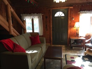 TV, fireplace, DVD player, books