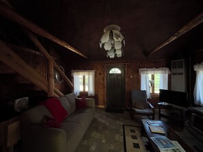 Televisión, chimenea, reproductor de DVD y libros 