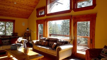 TV, fireplace, DVD player, books