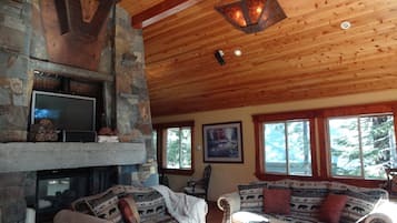 TV, fireplace, DVD player, books