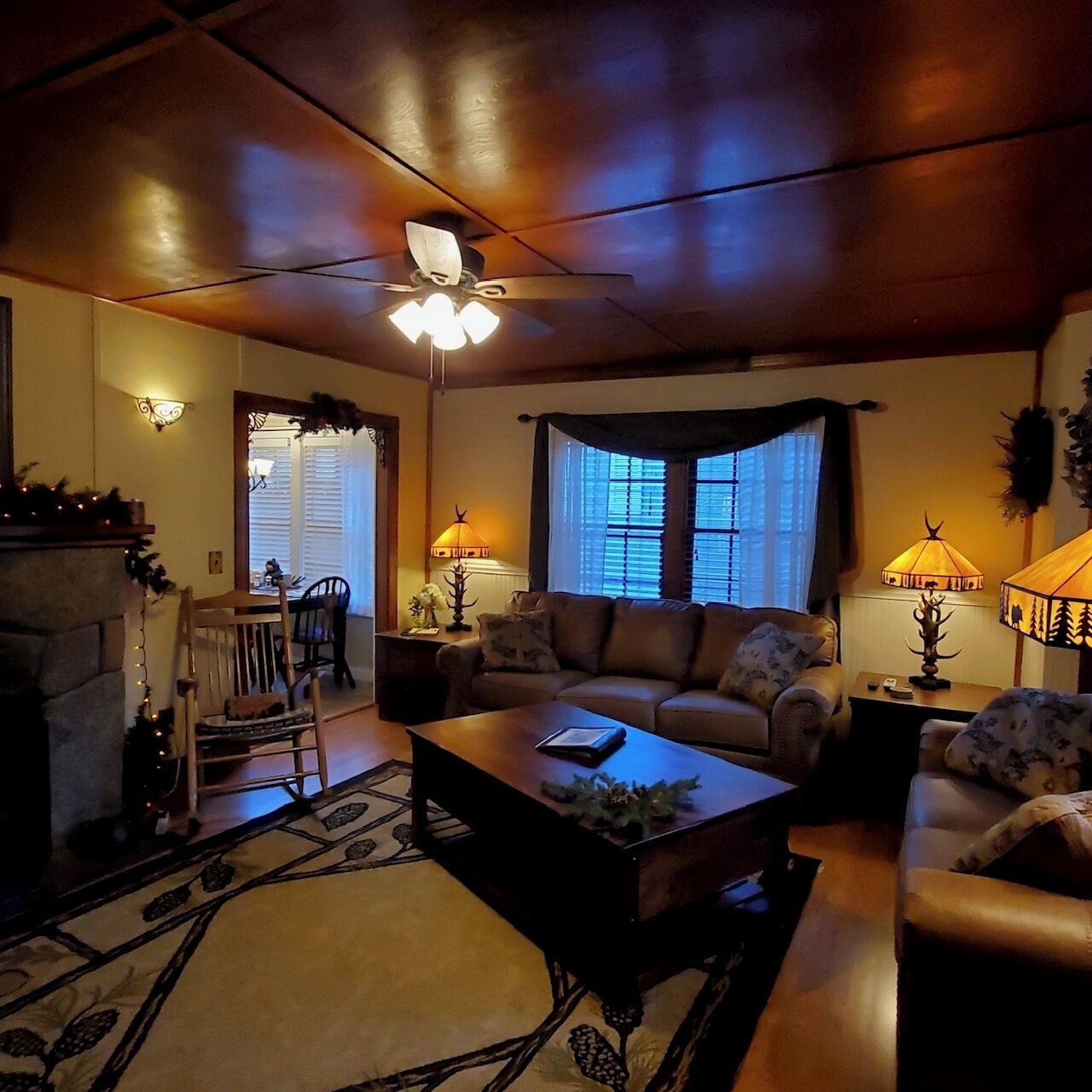 TV, DVD player, books, video library