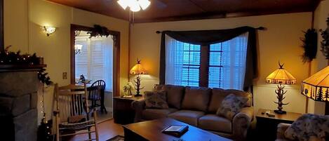 TV, DVD player, books, video library