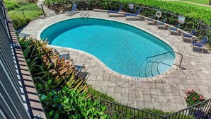 A curved swimming pool with a view of the ocean, surrounded by a patio with lounge chairs and a small garden area. - Sea Grape Inn #5- Beachfront Property (Longboat Key)