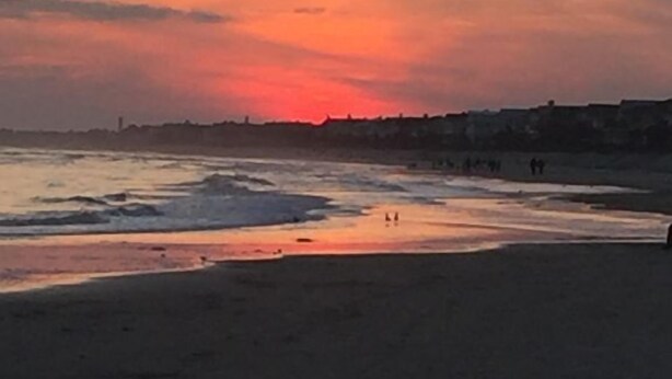 A beach with a sunset. - #110 Picture Perfect Studio w Sleeper Sofa & Pool (Isle of Palms)