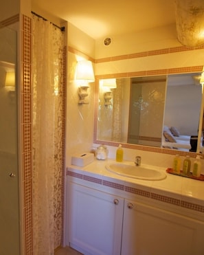 Bathtub, hair dryer, towels, soap - In the village a vast house with breathtaking views and outdoor garden and basin (Roussillon)
