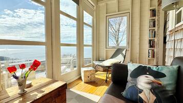Fireplace, books, music library, stereo