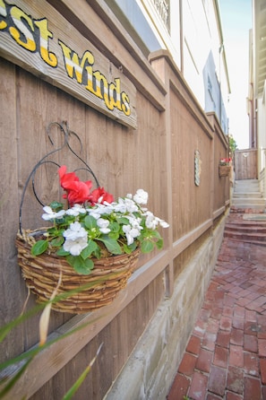 A wooden wall with a sign reading "Best Winds" and a wicker basket with flowers.