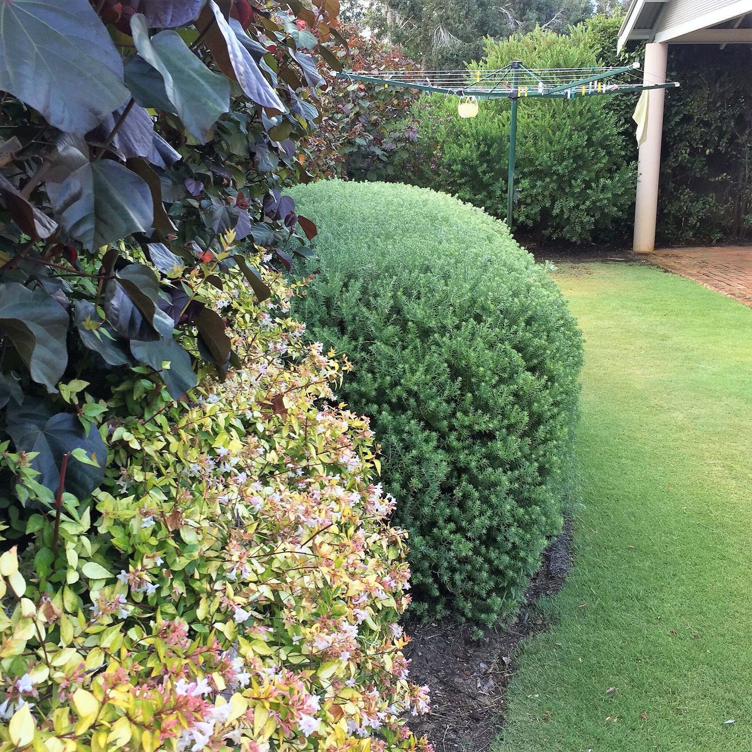 Dunsborough Waterfront - Newly Renovated — image 20