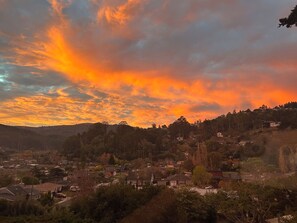 Unclassified image, 2 of 12, button