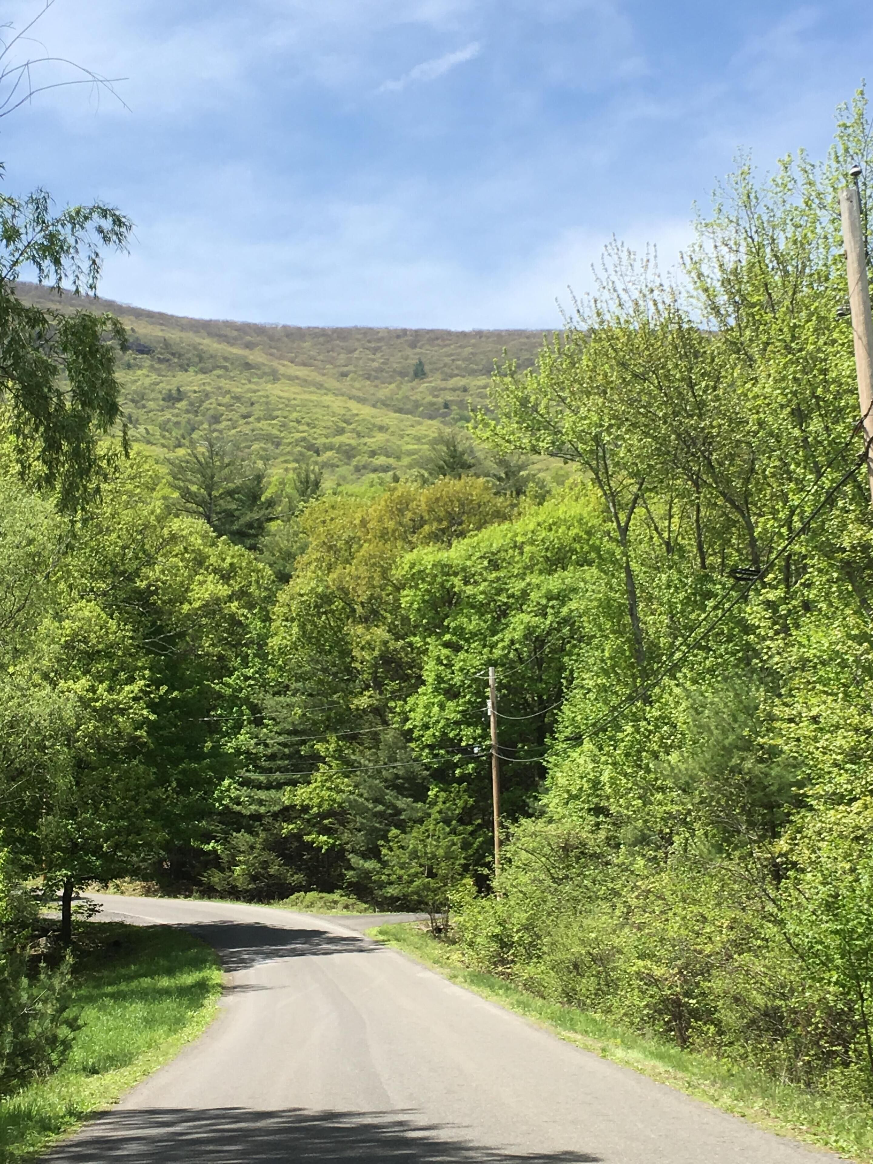 Our private road, and driveway, at the base of Overlook Mountain