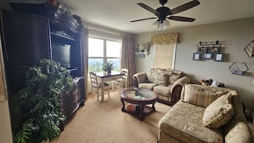 Flat-screen TV, fireplace
