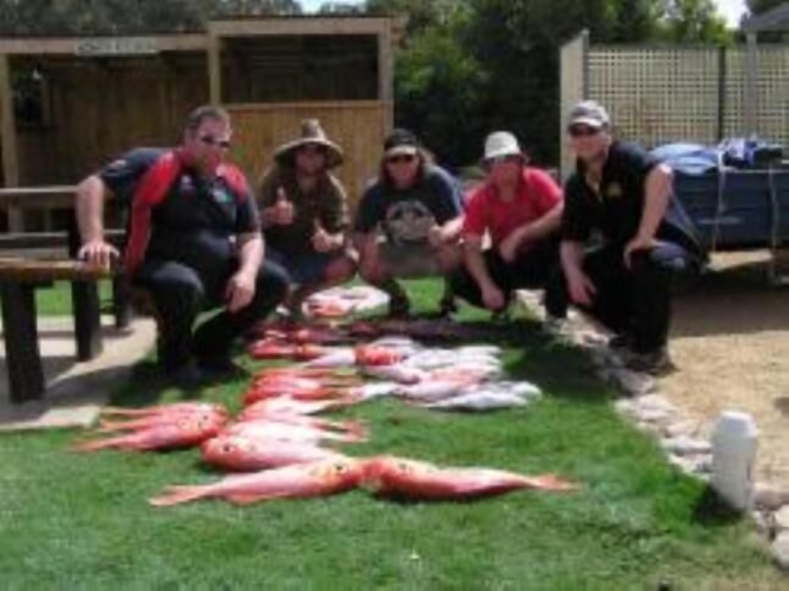 Seabreeze Accommodation sleeps 4 . Minimum 4 night stay for Easter .  — image 8